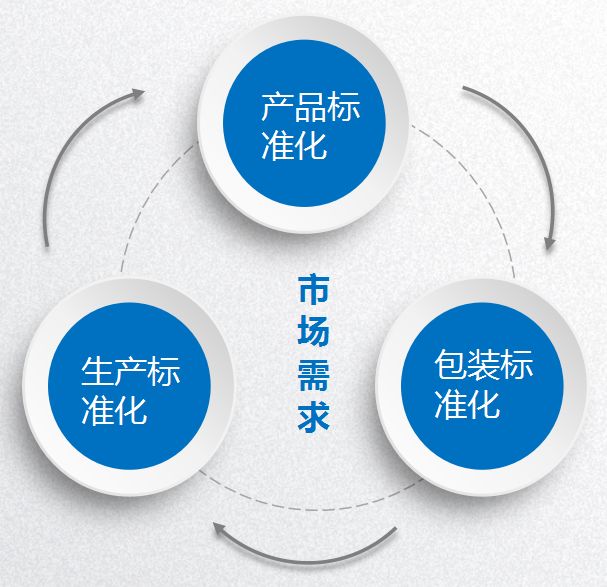 午夜成人精品视频加盟